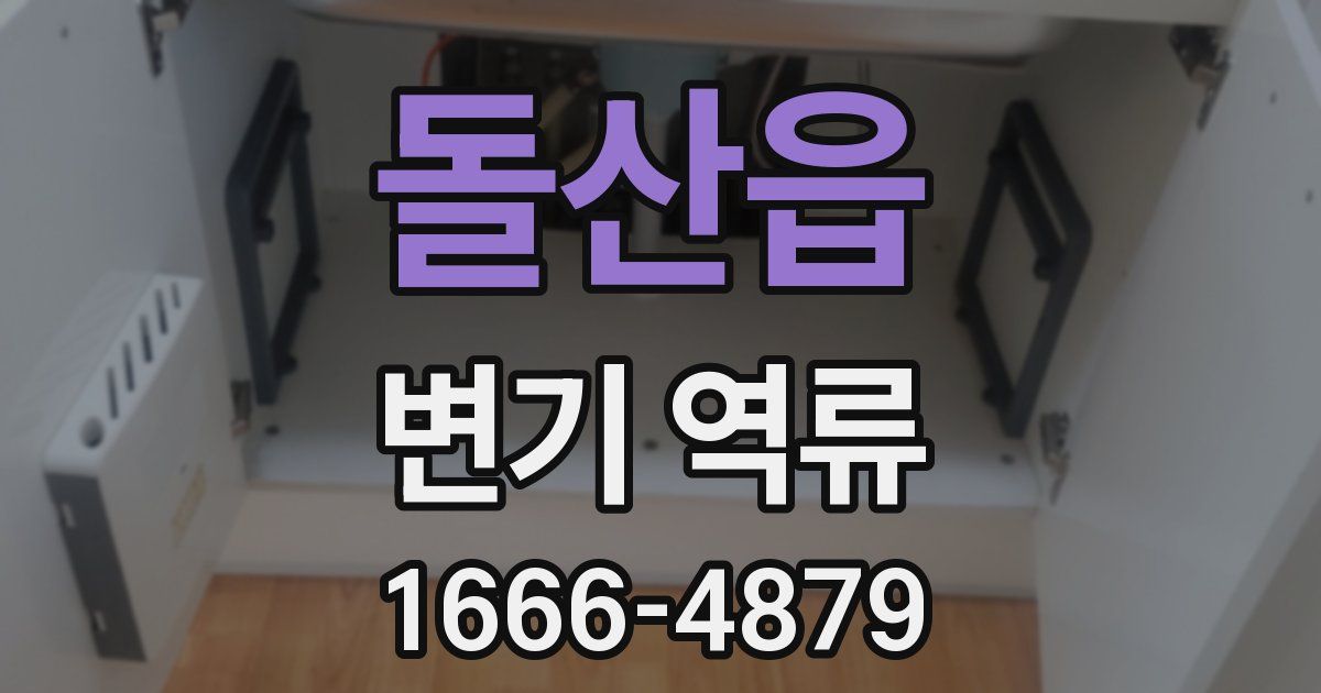 돌산읍 변기 역류