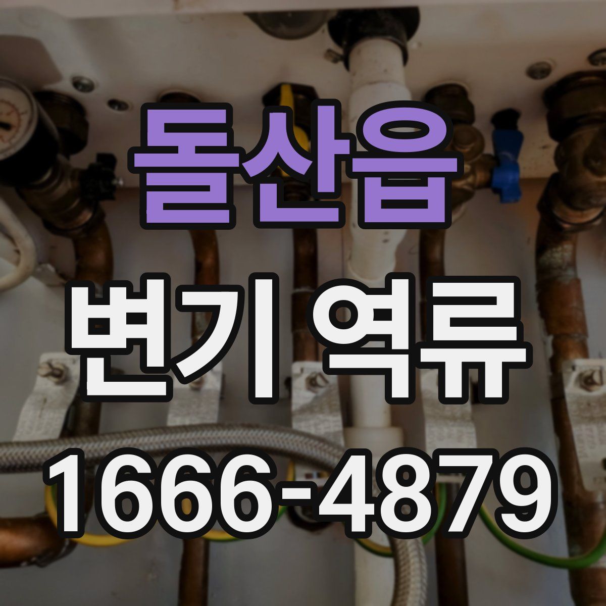돌산읍 변기 역류