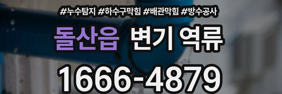 돌산읍 변기 역류