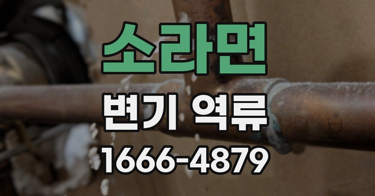 소라면 변기 역류