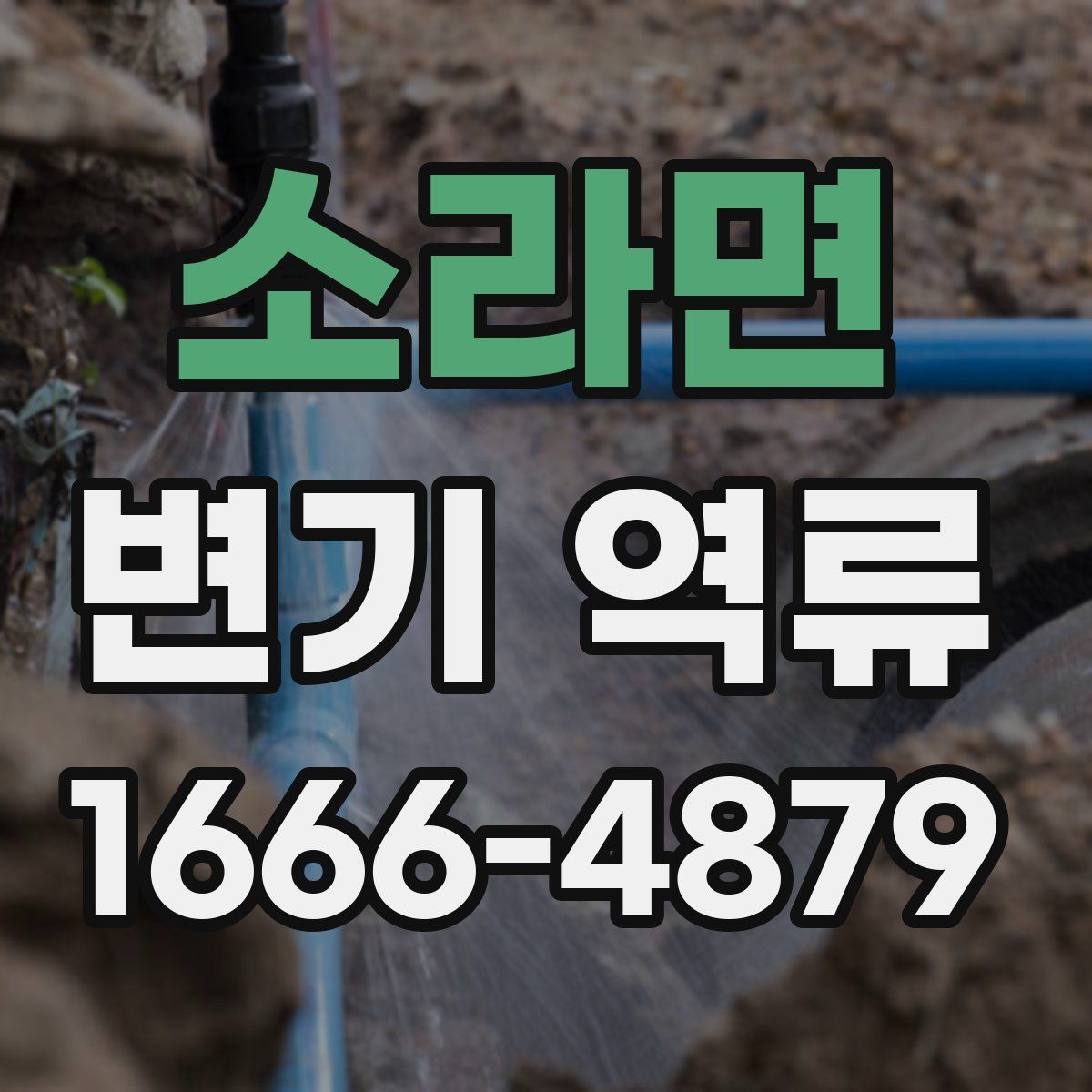 소라면 변기 역류