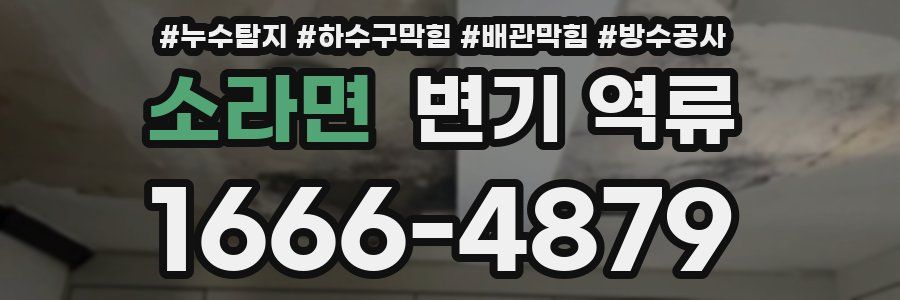 소라면 변기 역류