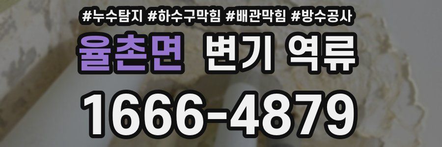 율촌면 변기 역류