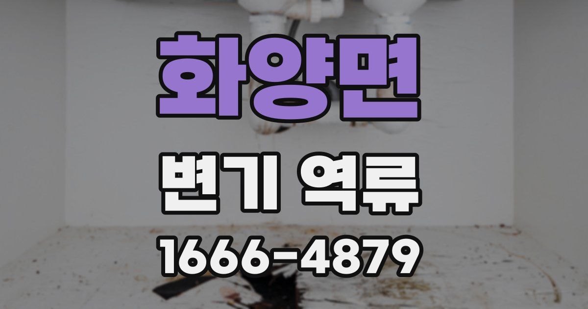 화양면 변기 역류