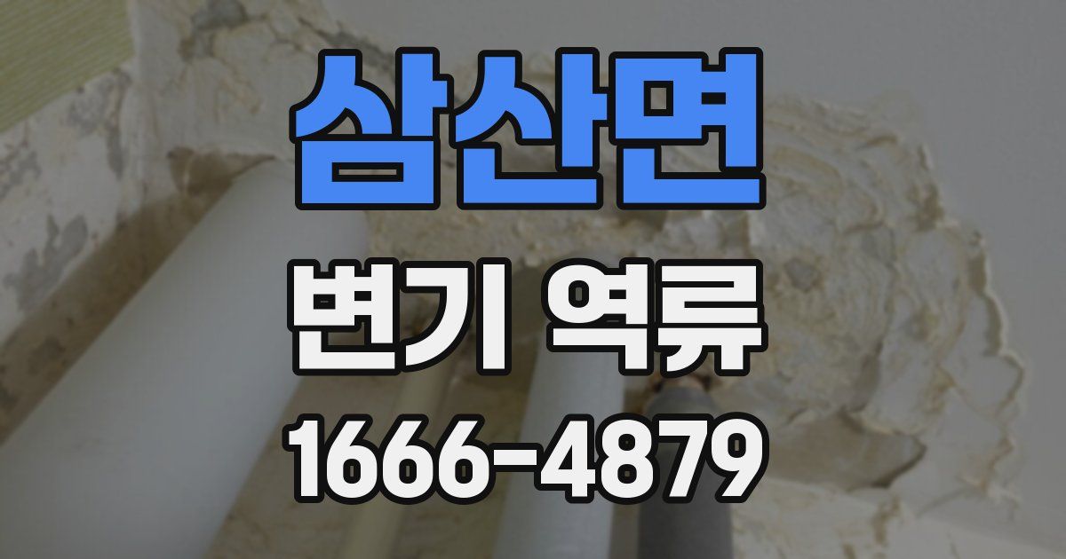 삼산면 변기 역류