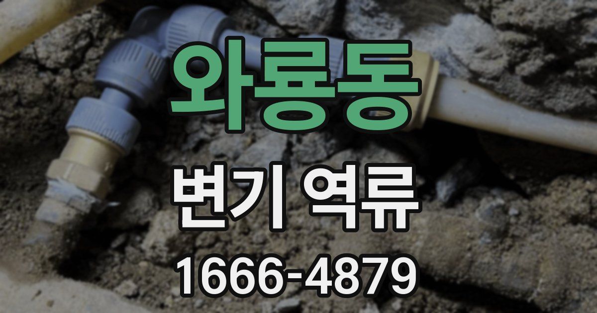 와룡동 변기 역류