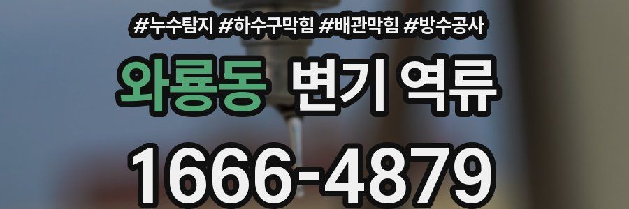 와룡동 변기 역류