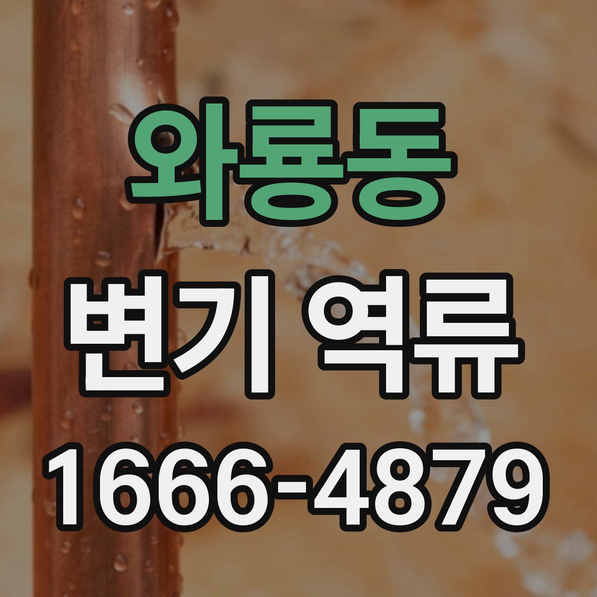 와룡동 변기 역류