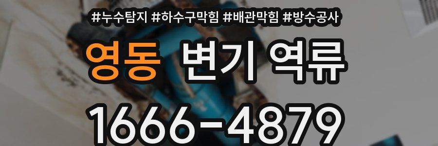 영동 변기 역류