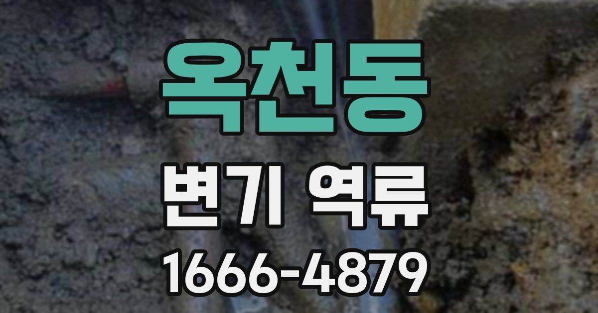 옥천동 변기 역류
