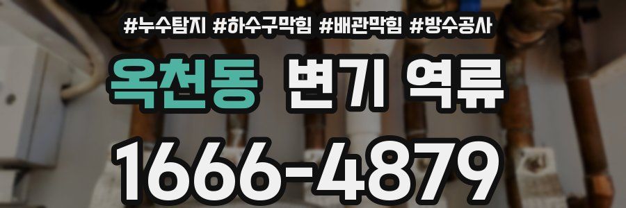 옥천동 변기 역류
