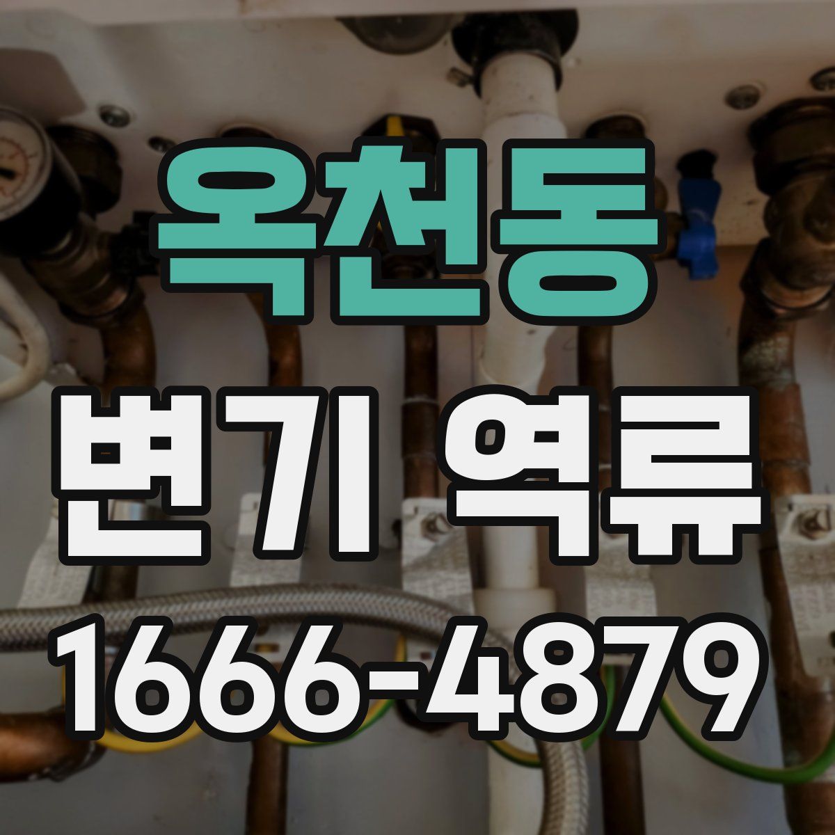 옥천동 변기 역류