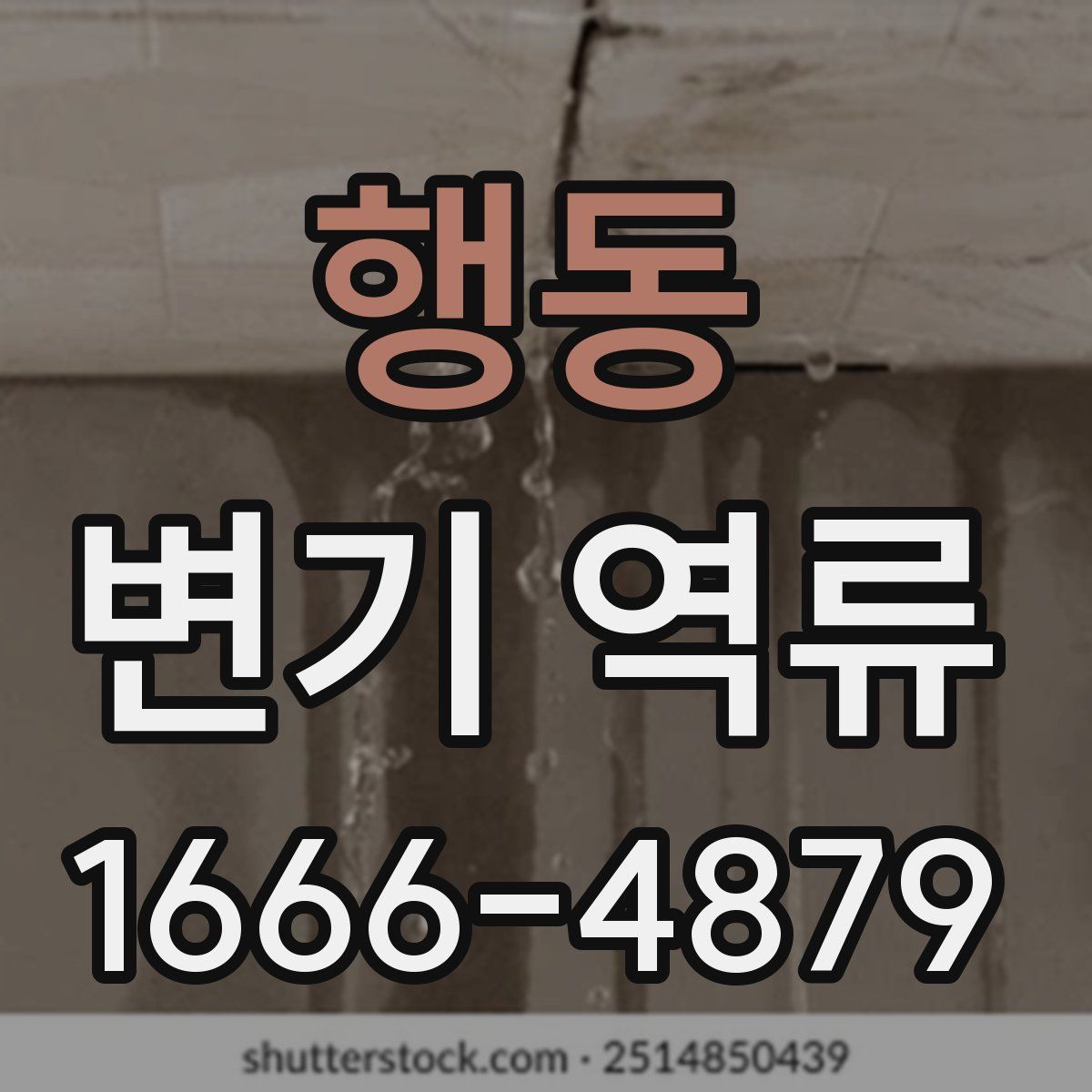 행동 변기 역류