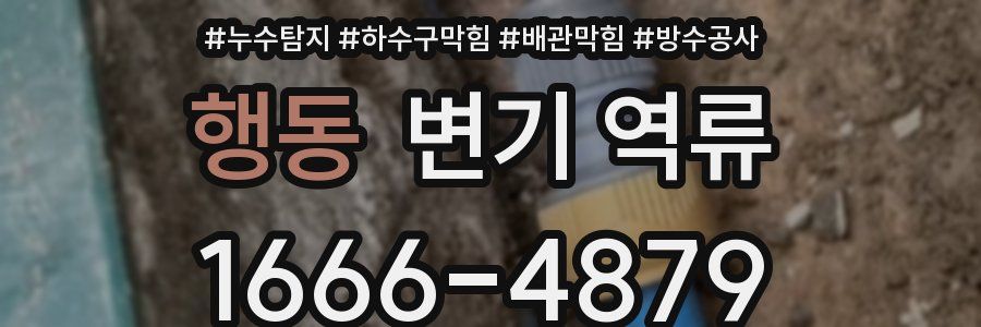 행동 변기 역류