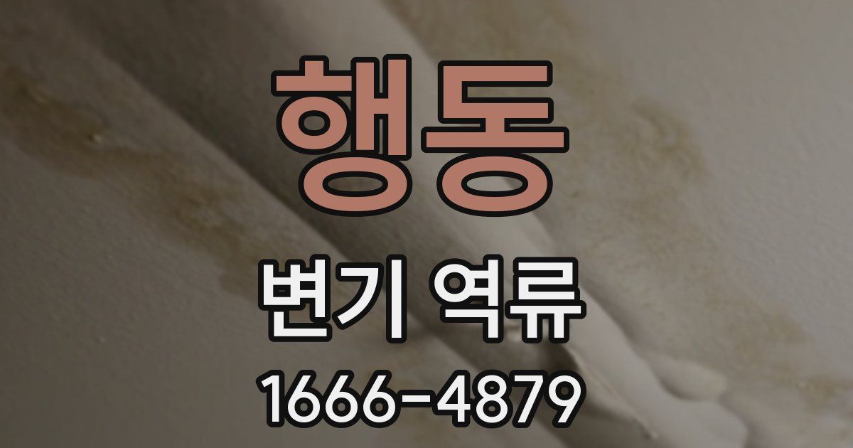 행동 변기 역류