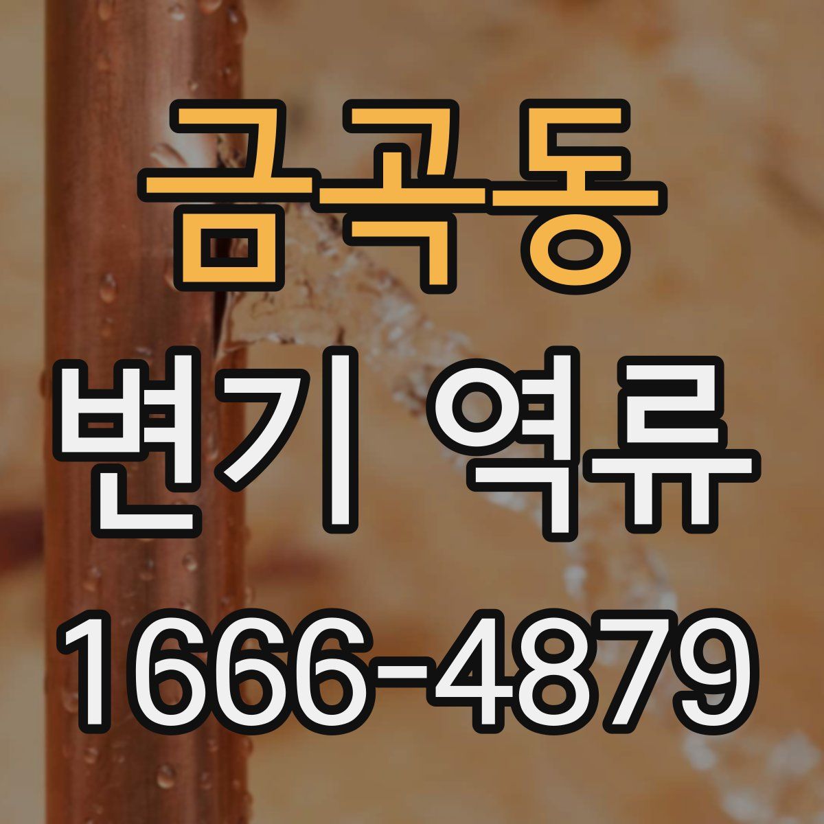 금곡동 변기 역류