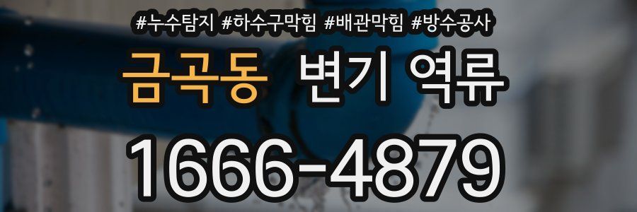 금곡동 변기 역류