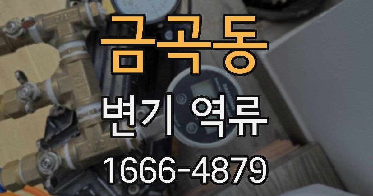 금곡동 변기 역류