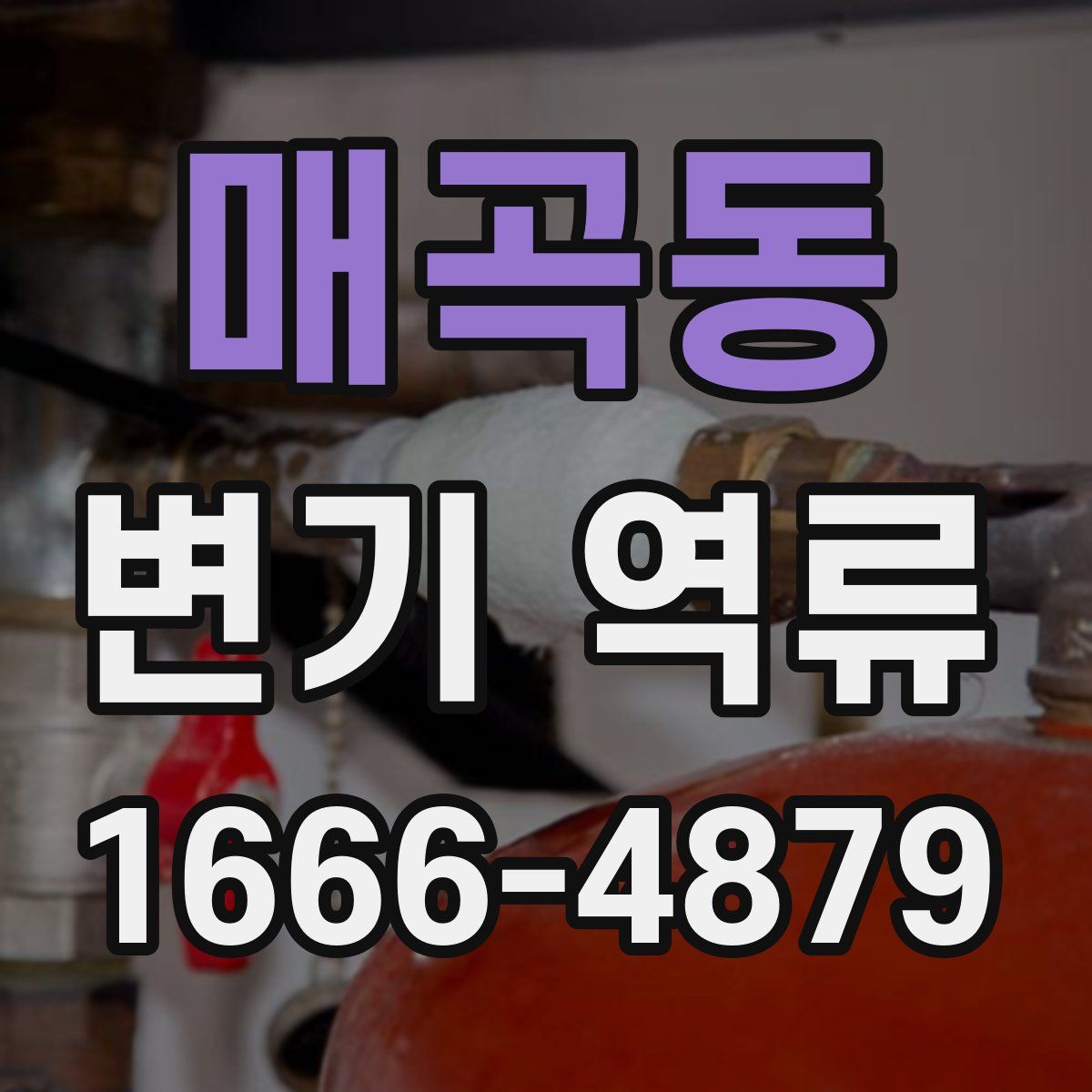 매곡동 변기 역류