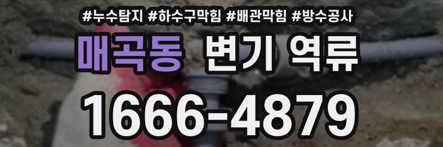 매곡동 변기 역류