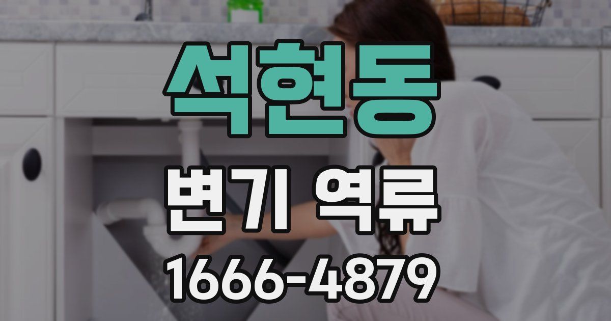 석현동 변기 역류