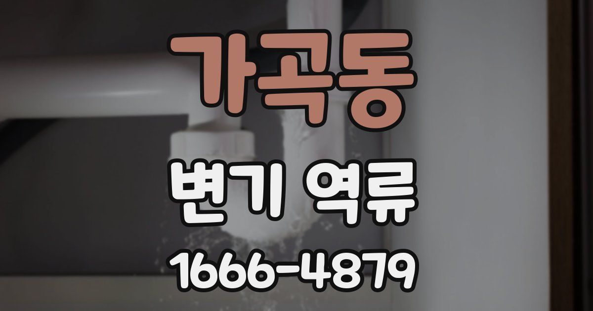 가곡동 변기 역류