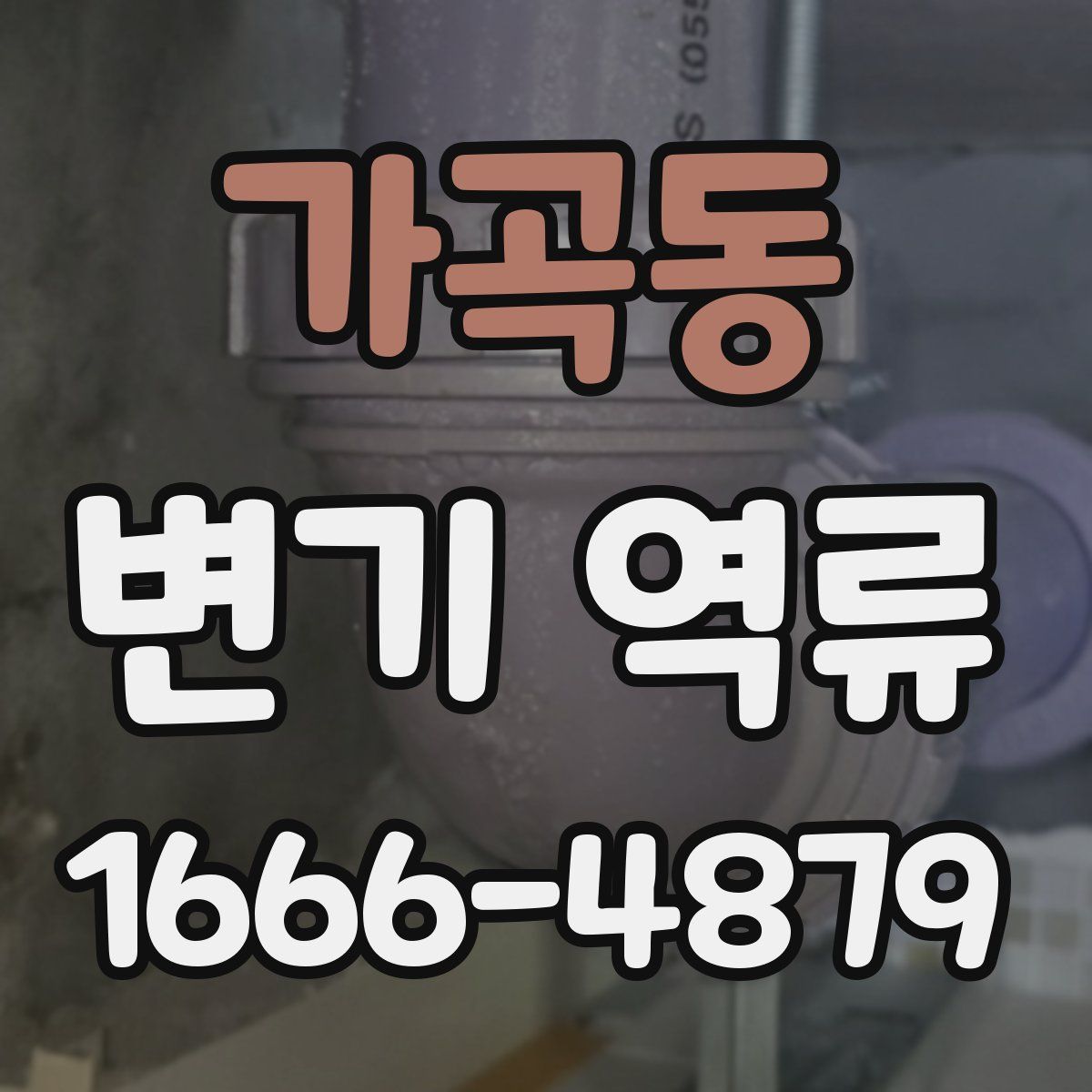 가곡동 변기 역류