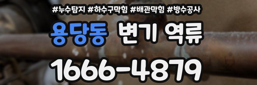 용당동 변기 역류