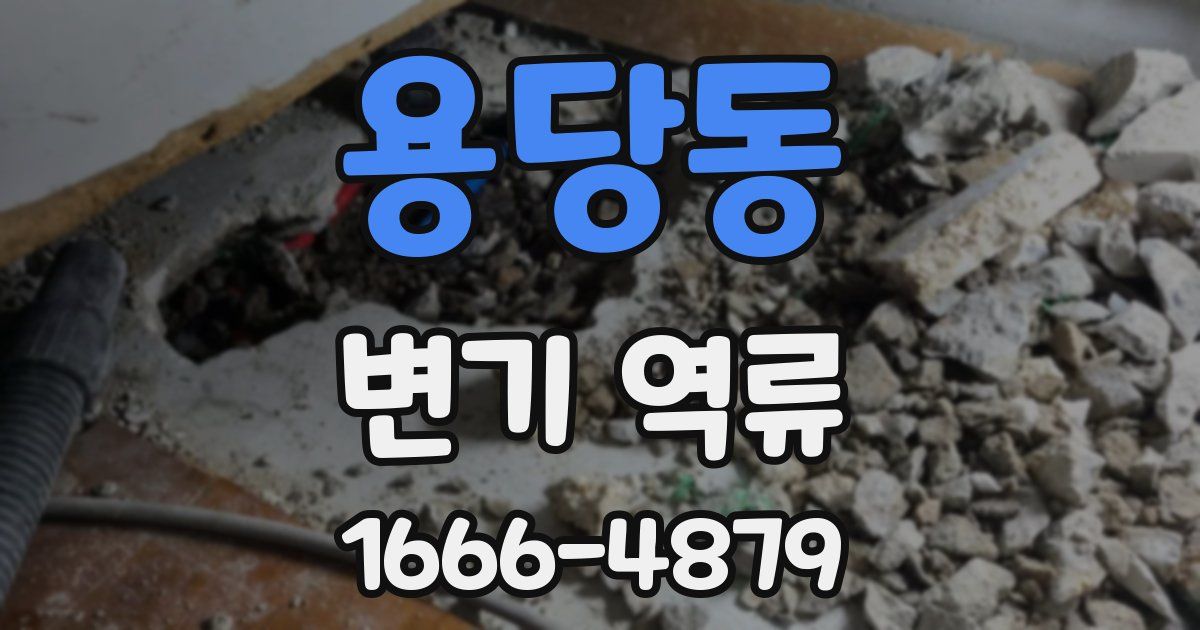 용당동 변기 역류