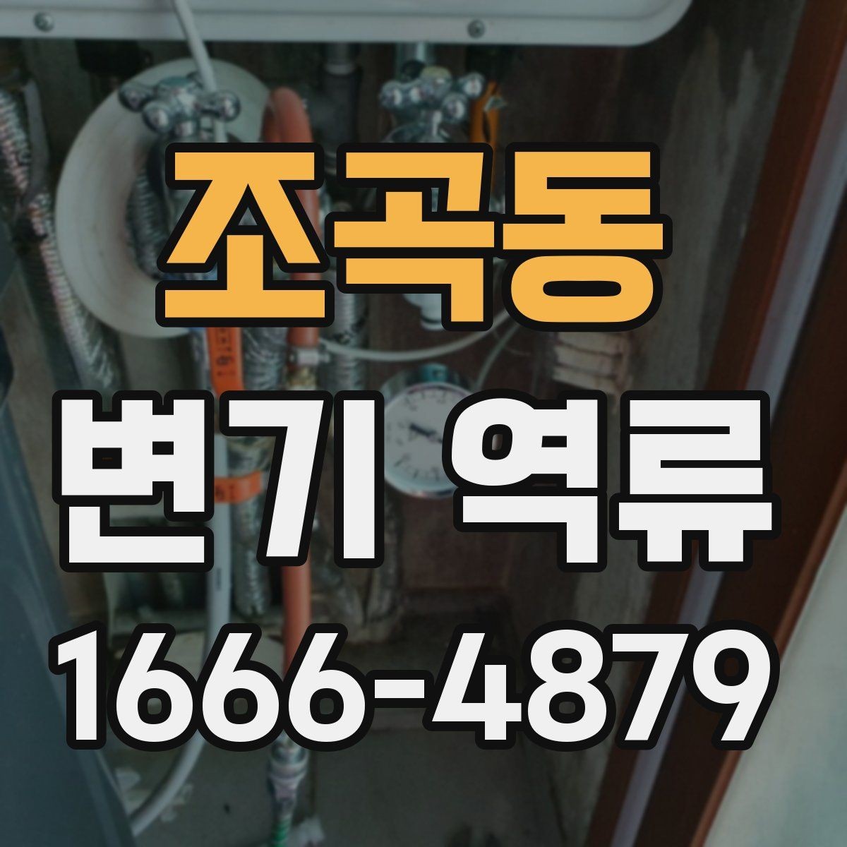 조곡동 변기 역류 하수구 상태가 영향을 주는 경우