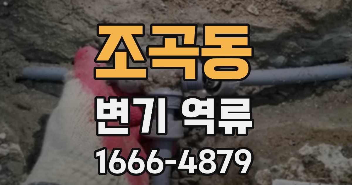 조곡동 변기 역류