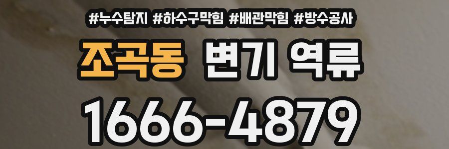조곡동 변기 역류