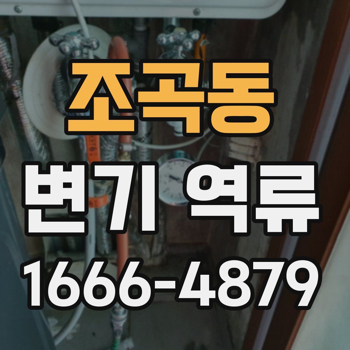 조곡동 변기 역류