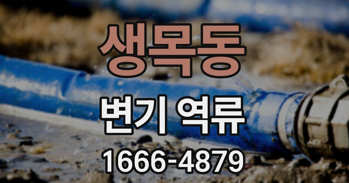 생목동 변기 역류