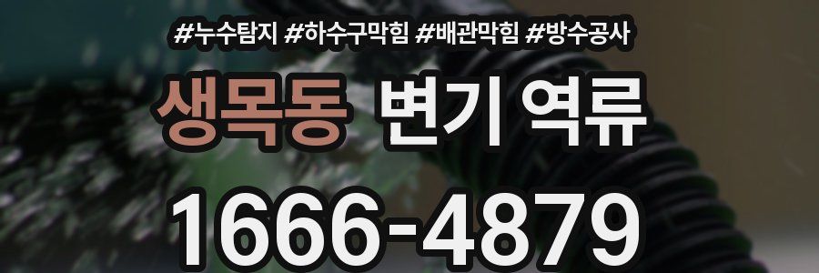 생목동 변기 역류