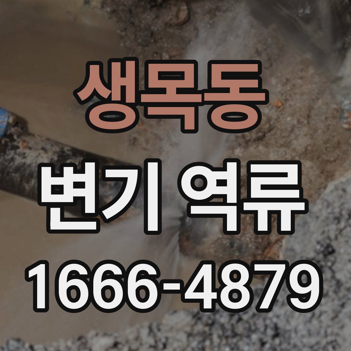 생목동 변기 역류
