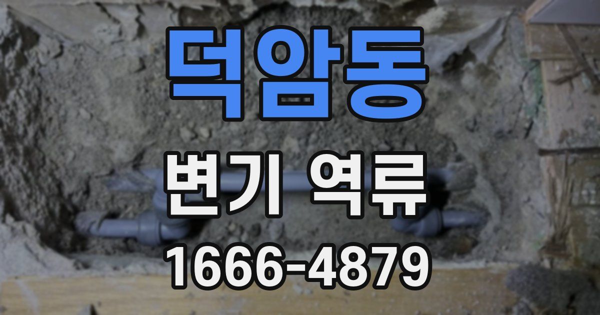 덕암동 변기 역류