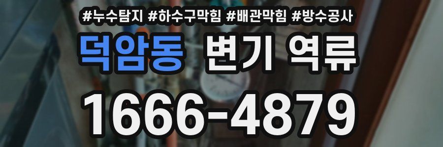 덕암동 변기 역류