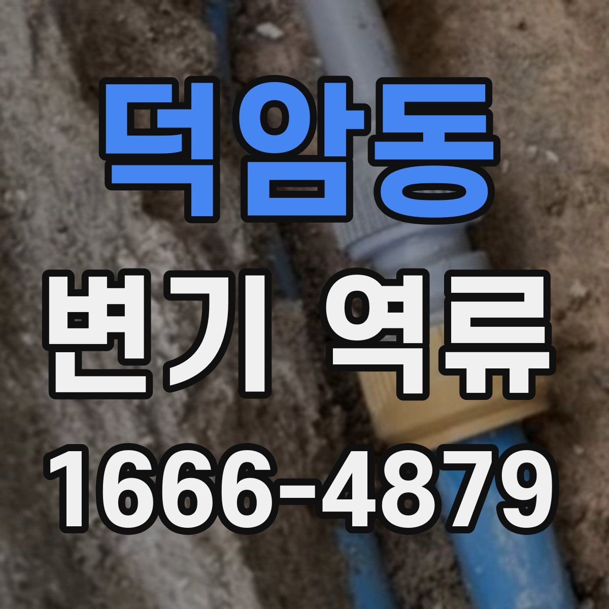 덕암동 변기 역류