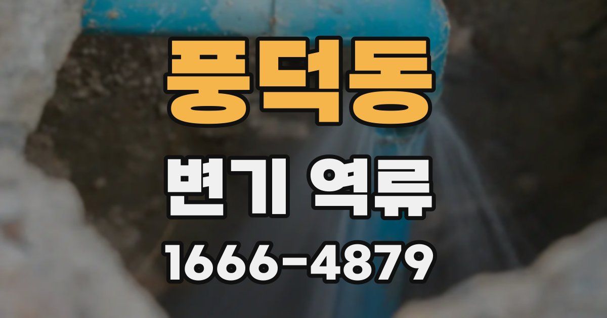 풍덕동 변기 역류
