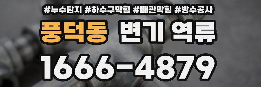 풍덕동 변기 역류