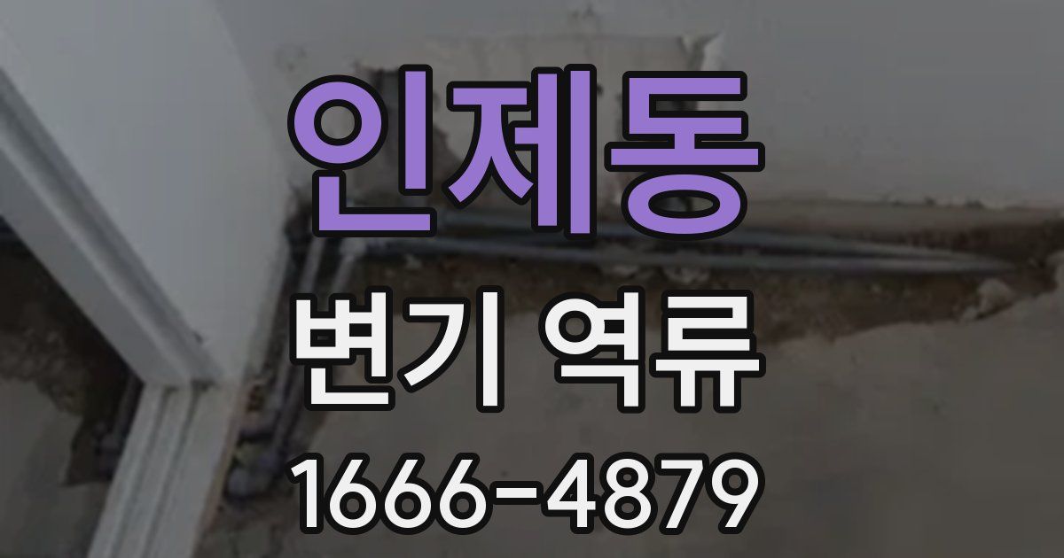 인제동 변기 역류