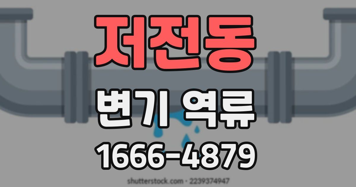 저전동 변기 역류