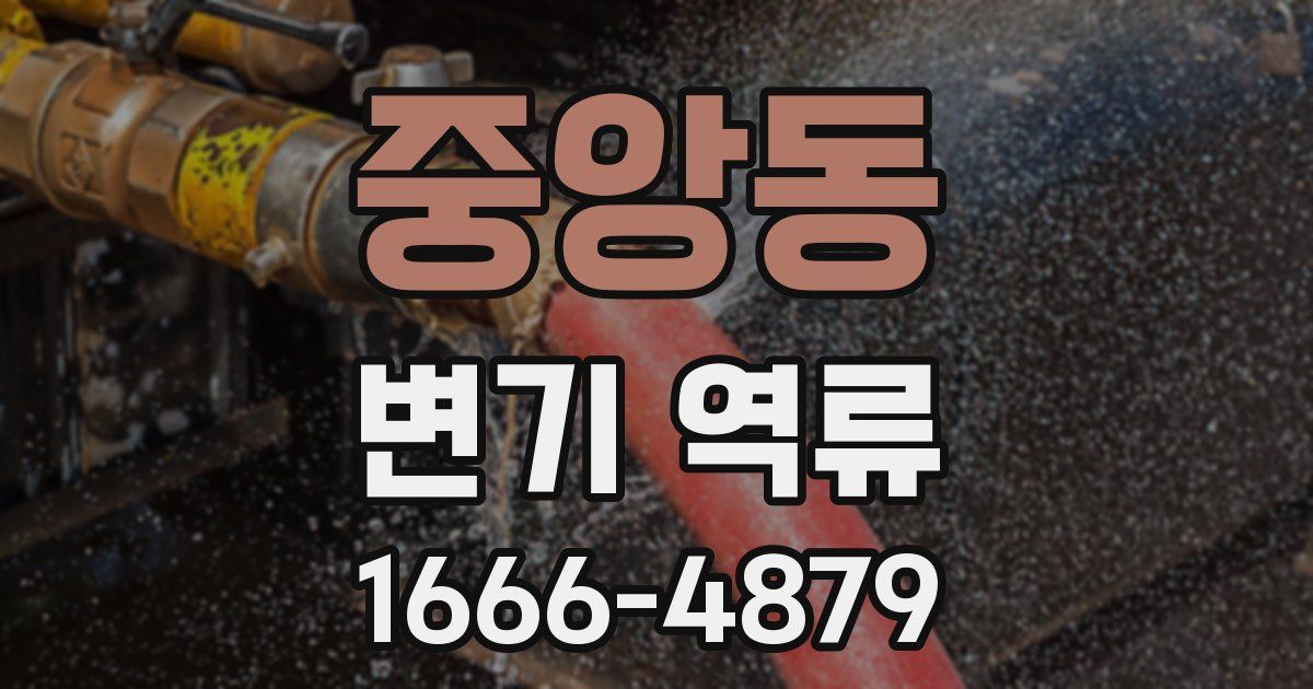 중앙동 변기 역류