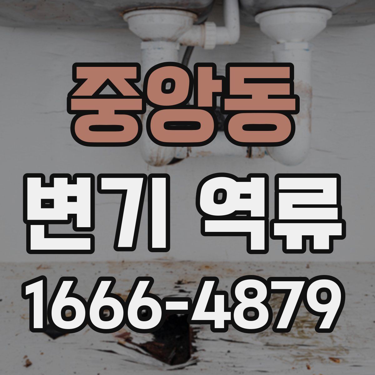 중앙동 변기 역류