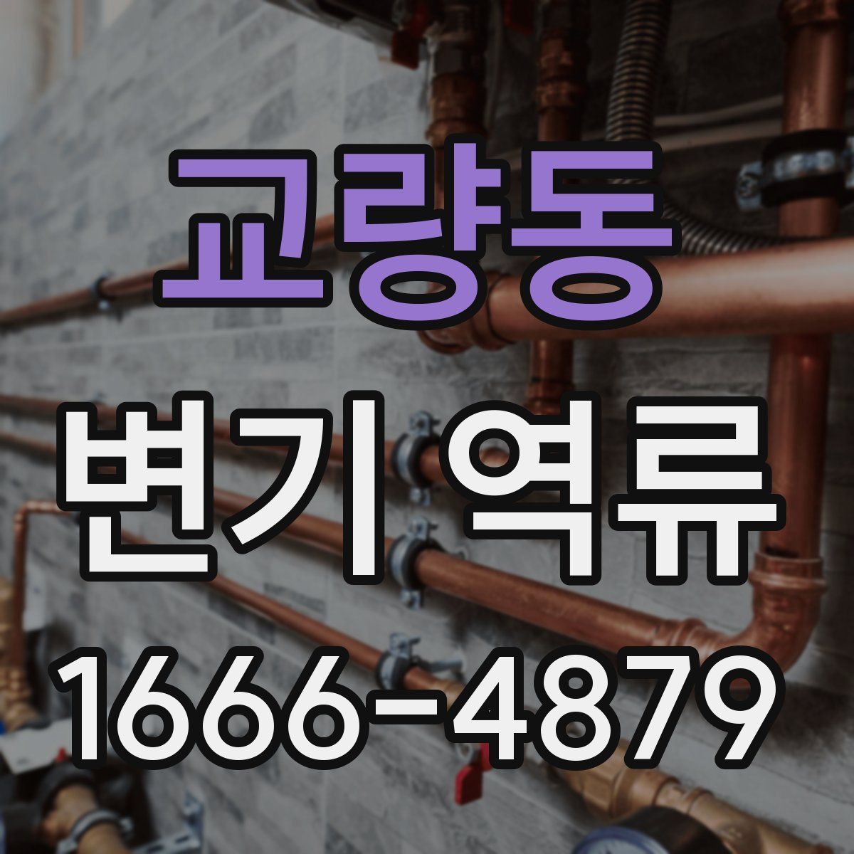 교량동 변기 역류