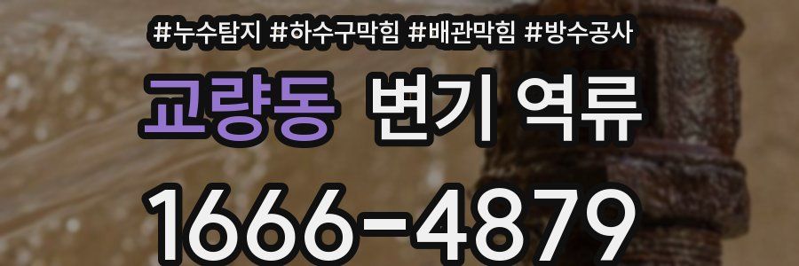 교량동 변기 역류