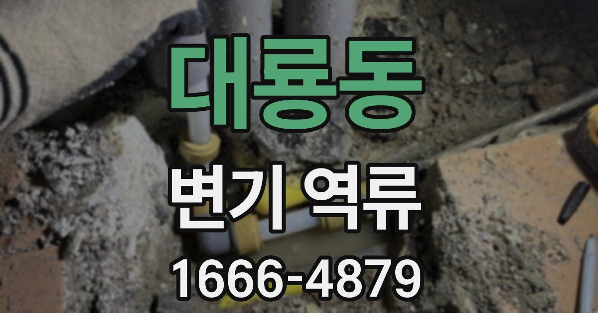 대룡동 변기 역류