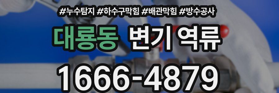 대룡동 변기 역류