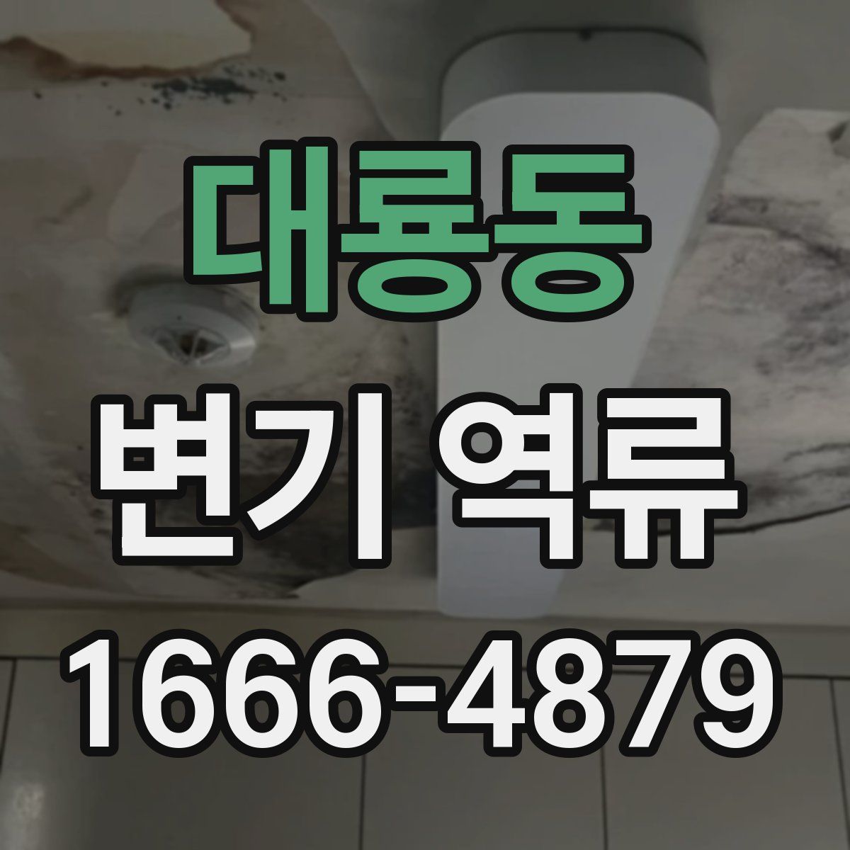 대룡동 변기 역류